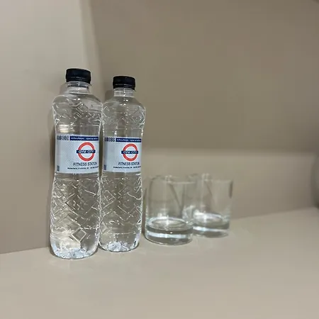 Apartment Suite Mukachevo *